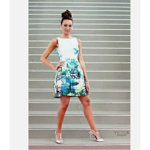 Zara‎ Basics Dress XS Aquarium Print Tulip Mini Holiday Bloggers Fav NWOT - Picture 1 of 16